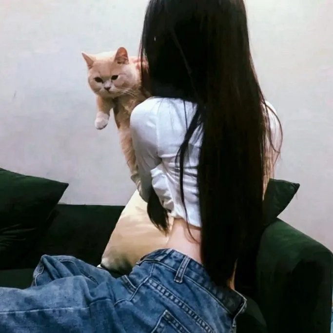 巴黎夜猫